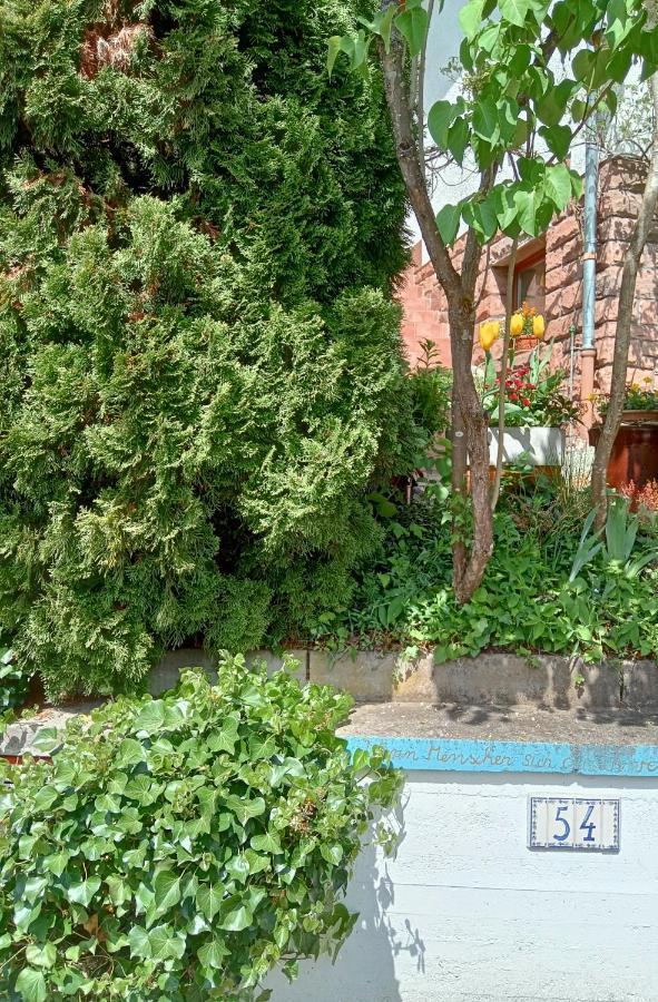 Casa La Collina Delle Ginestre Apartment Eberbach  Bagian luar foto