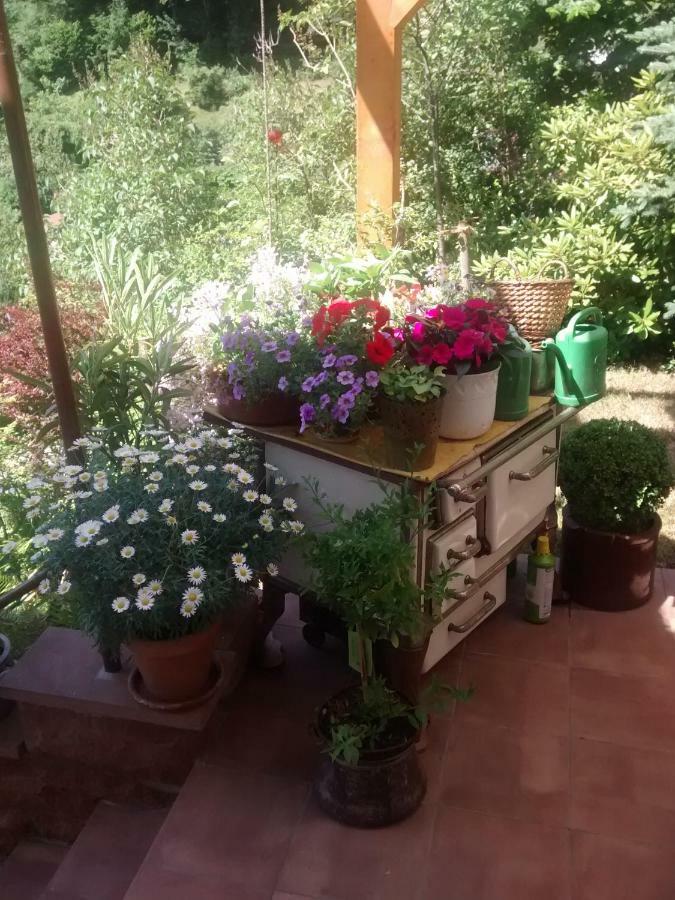 Casa La Collina Delle Ginestre Apartment Eberbach  Bagian luar foto