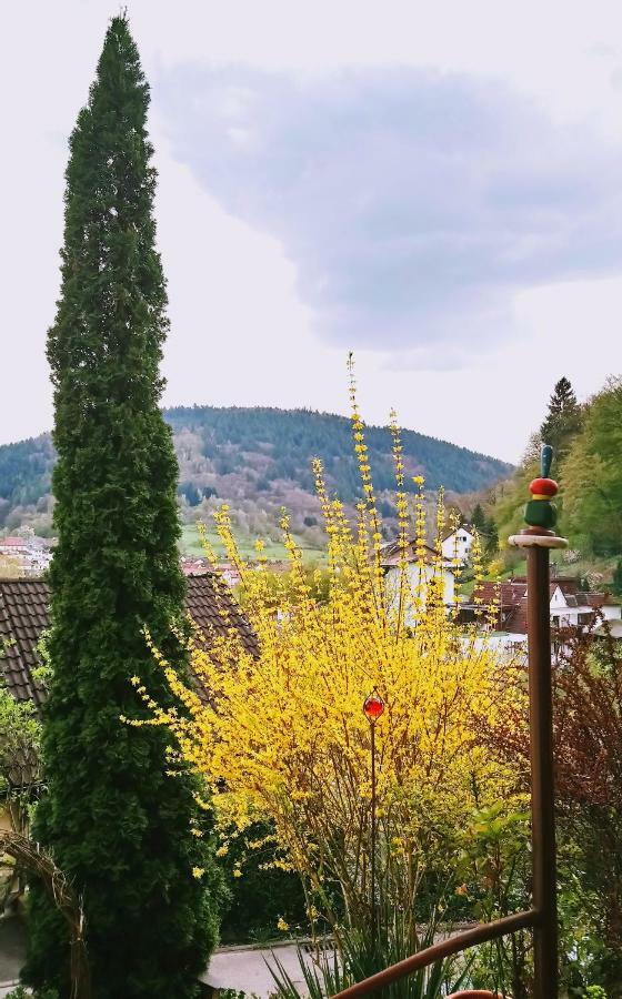 Casa La Collina Delle Ginestre Apartment Eberbach  Bagian luar foto