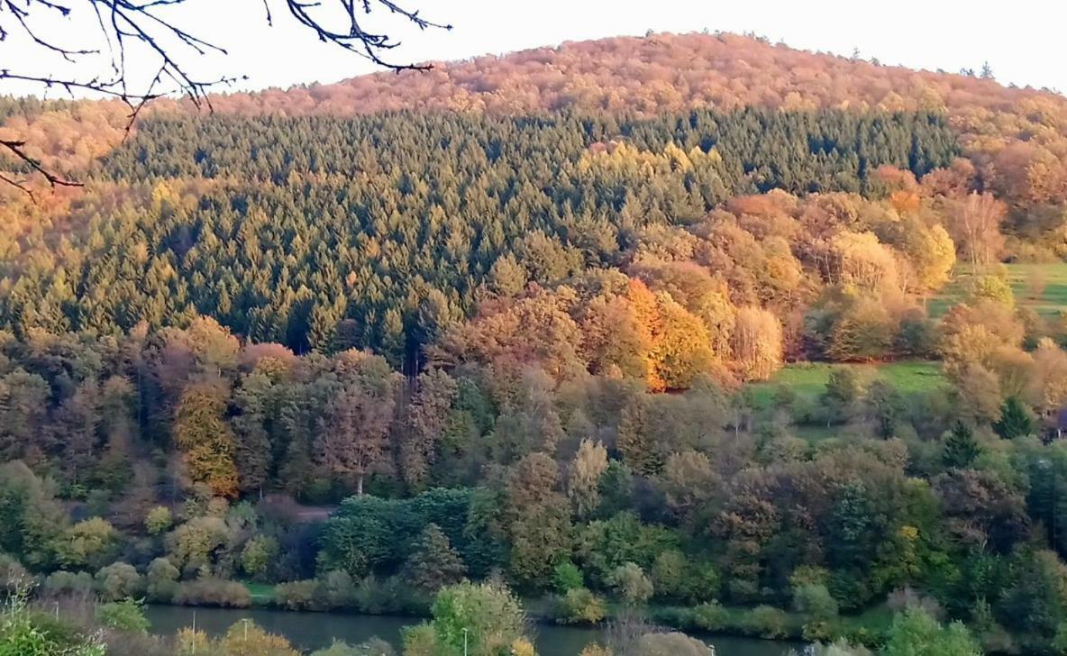 Casa La Collina Delle Ginestre Apartment Eberbach  Bagian luar foto